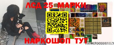 мяу мяу мука Бузулук