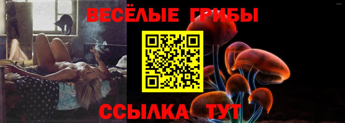 Сосновый Бор  Псилоцибиновые грибы Psilocybe  Вход с VPN 