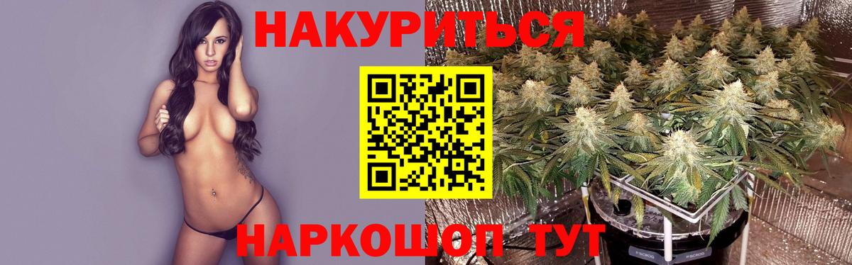 Шишки марихуана тримм  Марихуана White Widow  Марихуана тримм  Сосновый Бор  Вход с VPN 